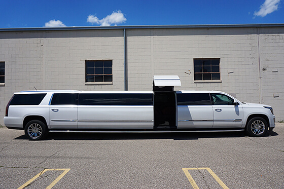 20-pass limo services