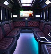 Windsor limousine buses