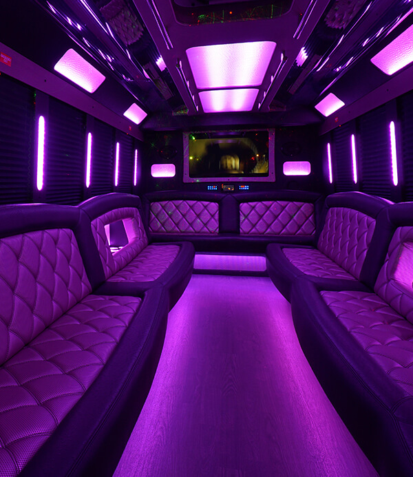 Windsor party buses